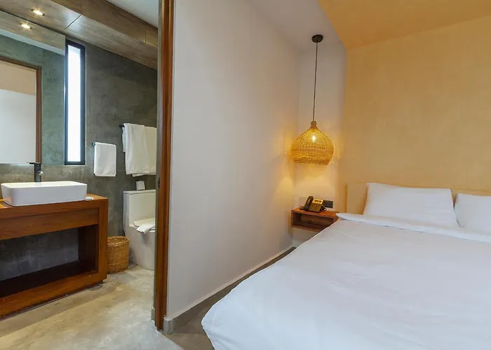 Apartamento Amplio Y Cómodo 1br En *